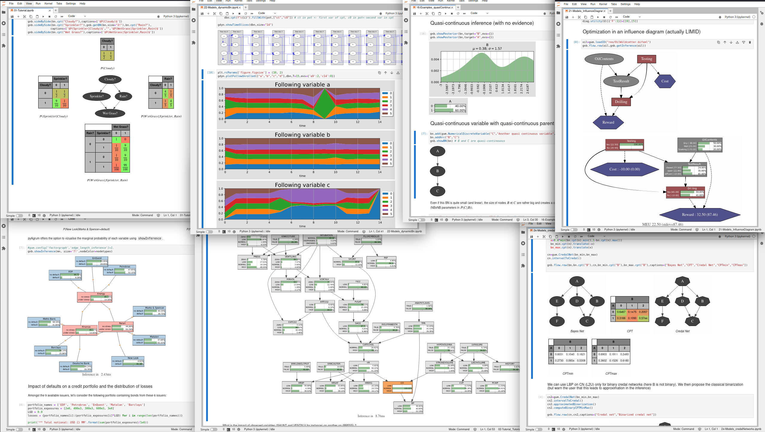 A session with pyAgrum